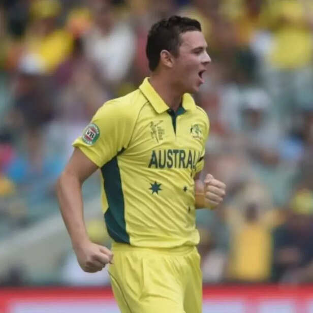 Cricket World Cup Final –