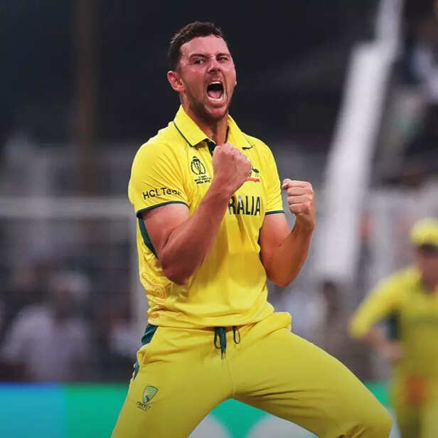 Cricket World Cup Final –