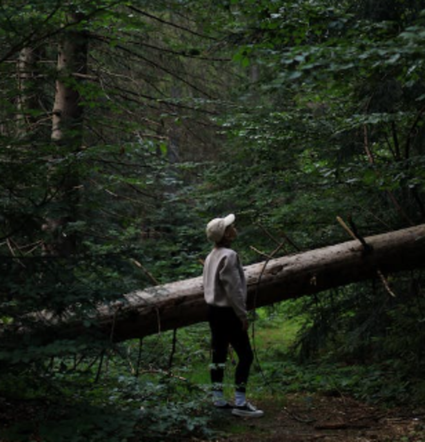 forest-bathing