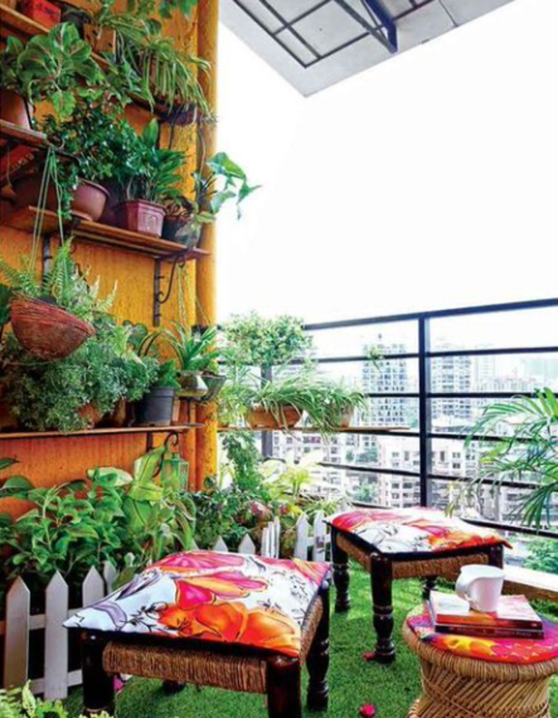 balcony-plants