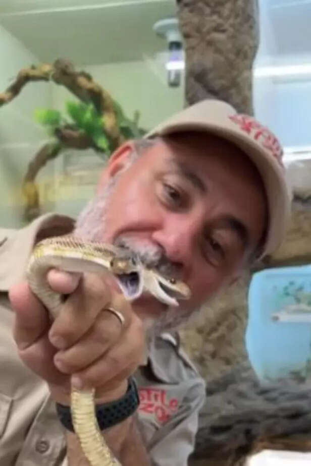 Man fiddles with rare two