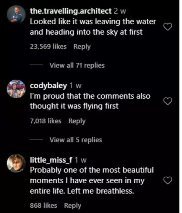 Reactions
