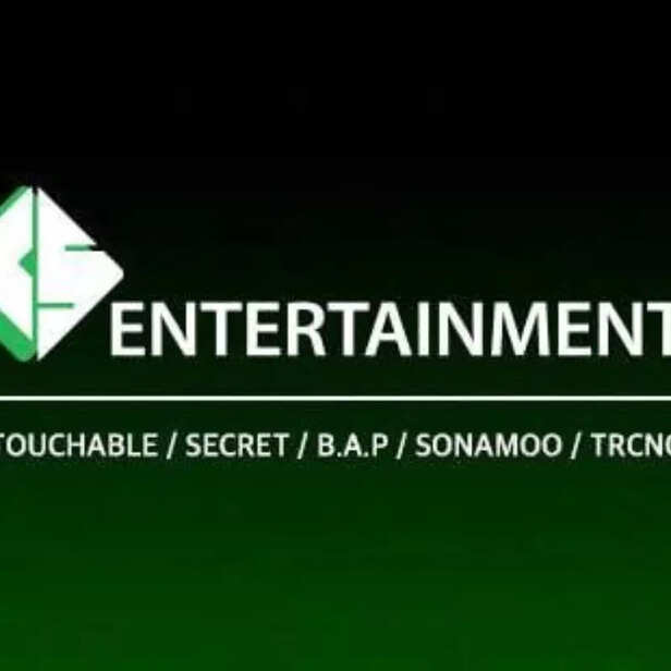 TS Entertainment & Media